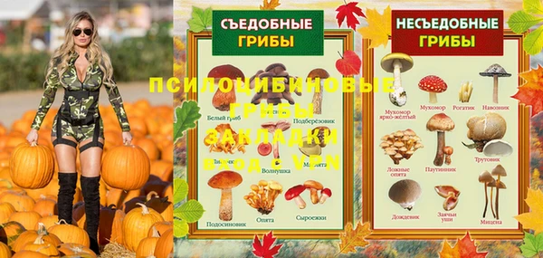 ПСИЛОЦИБИНОВЫЕ ГРИБЫ Алексин