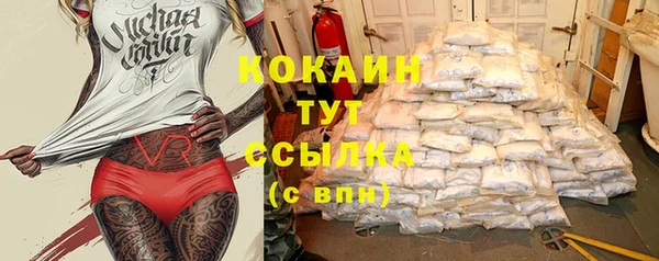 ПСИЛОЦИБИНОВЫЕ ГРИБЫ Алексин