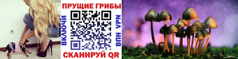 Псилоцибиновые грибы GOLDEN TEACHER  продажа наркотиков  Бахчисарай 