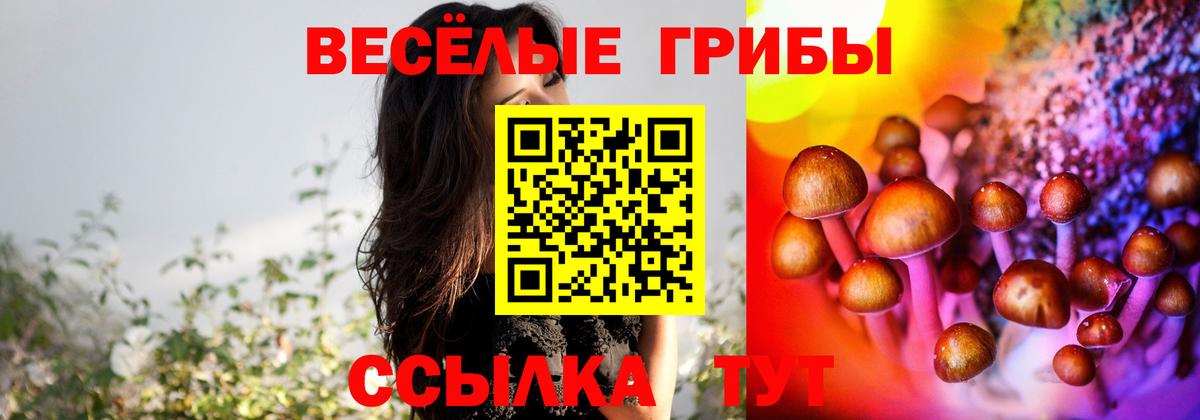 Псилоцибиновые грибы MAGIC MUSHROOMS Бахчисарай